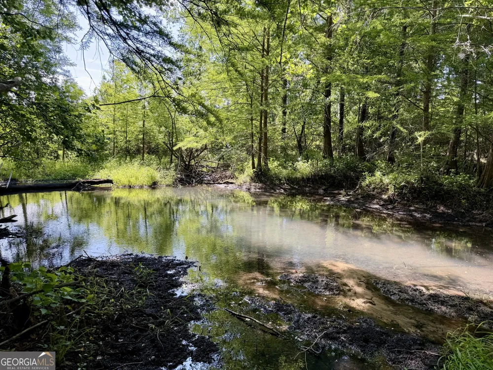 0 Folds RD Pineview, GA 31071