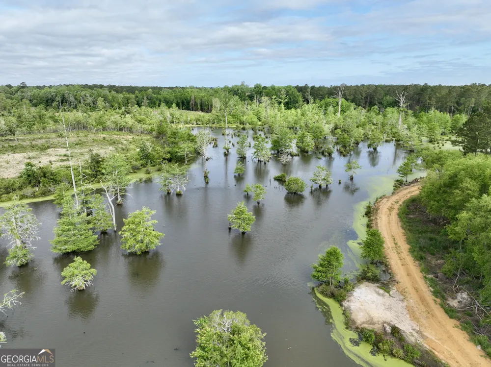0 Folds RD Pineview, GA 31071