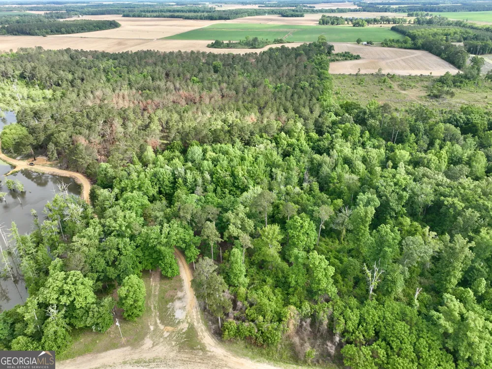 0 Folds RD Pineview, GA 31071