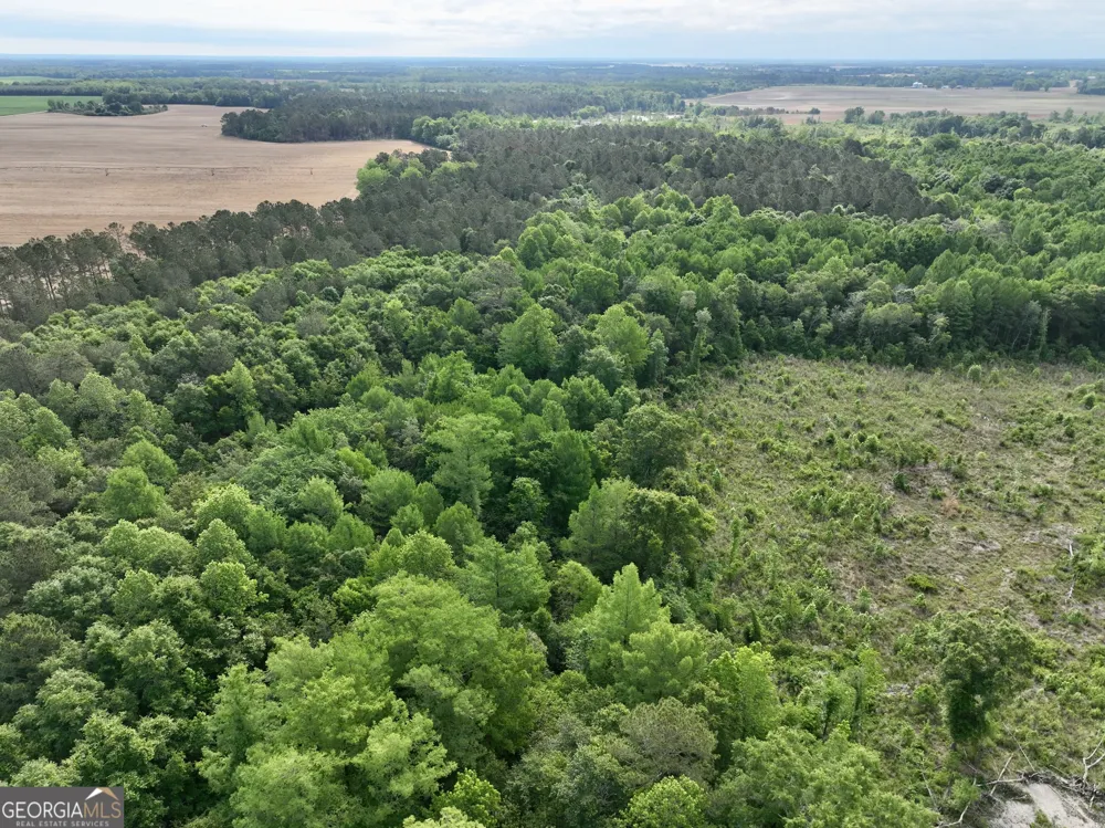 0 Folds RD Pineview, GA 31071