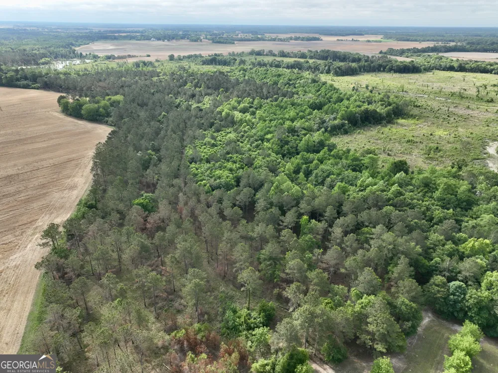 0 Folds RD Pineview, GA 31071