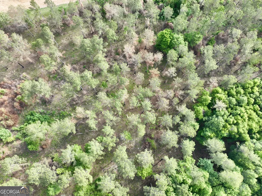 0 Folds RD Pineview, GA 31071