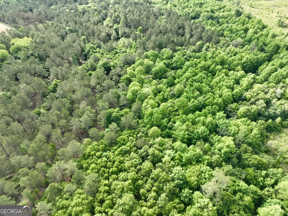 0 Folds RD Pineview, GA 31071