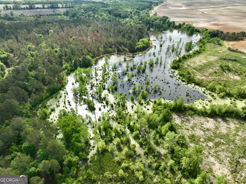 0 Folds RD Pineview, GA 31071