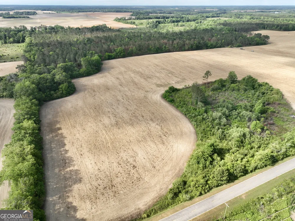 0 Folds RD Pineview, GA 31071