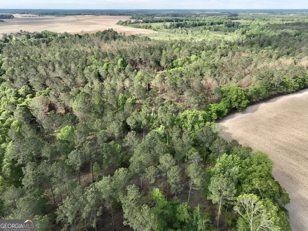 0 Folds RD Pineview, GA 31071