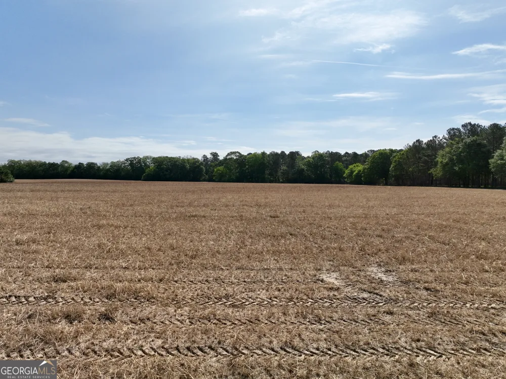 0 Folds RD Pineview, GA 31071