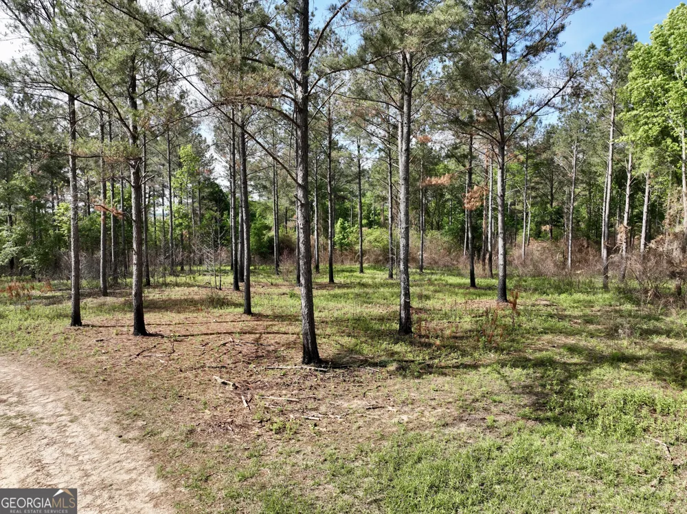 0 Folds RD Pineview, GA 31071