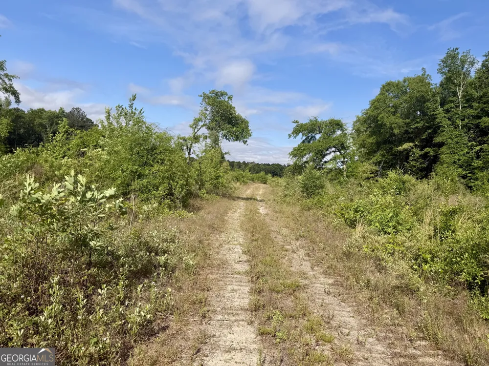 0 Folds RD Pineview, GA 31071