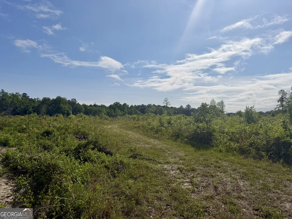 0 Folds RD Pineview, GA 31071