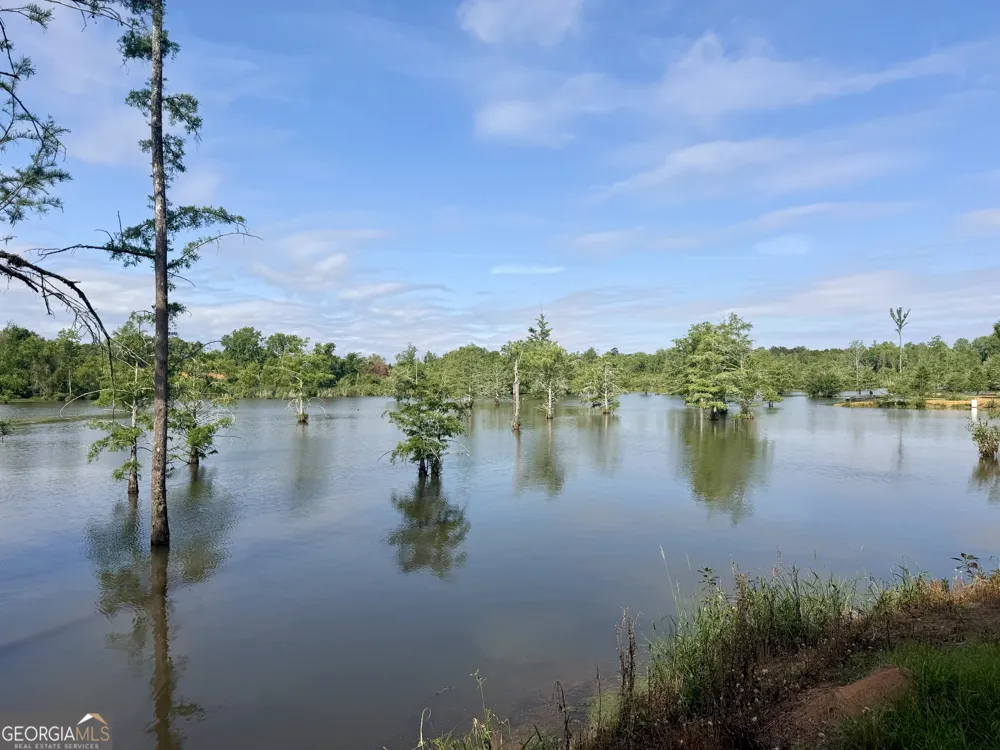 0 Folds RD Pineview, GA 31071