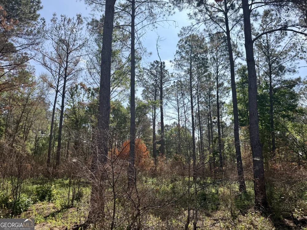 0 Folds RD Pineview, GA 31071