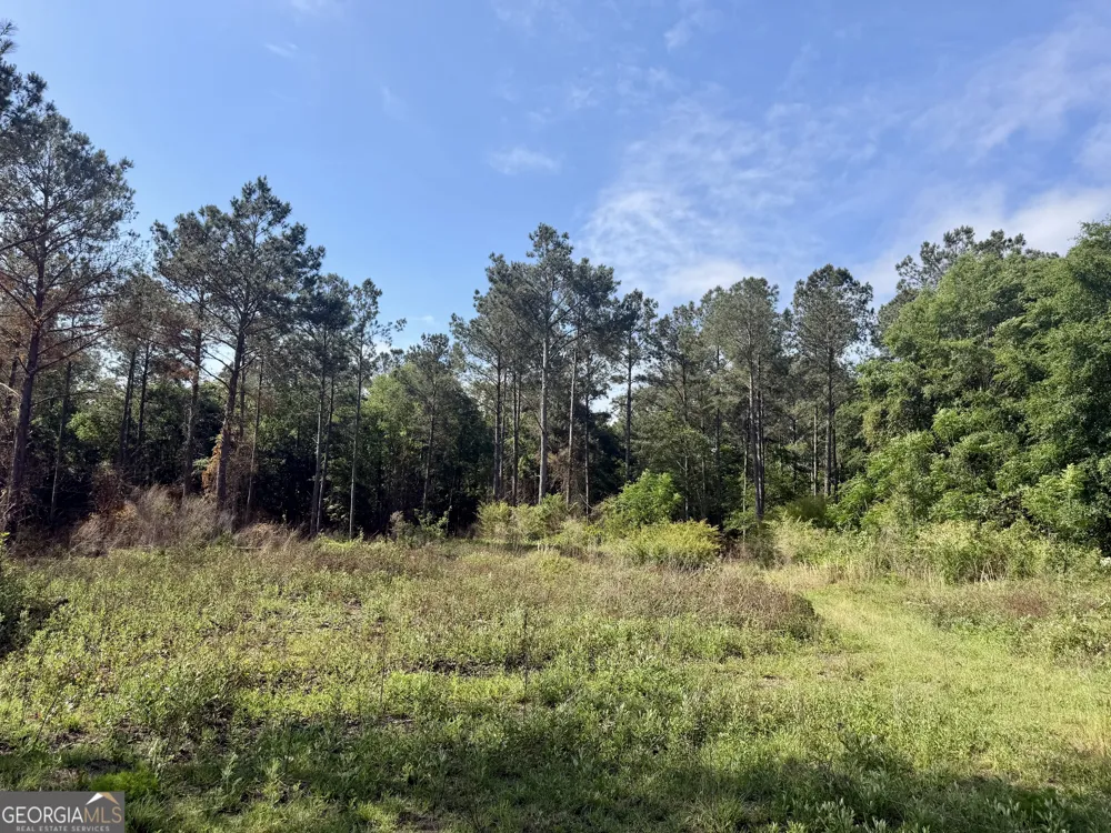 0 Folds RD Pineview, GA 31071