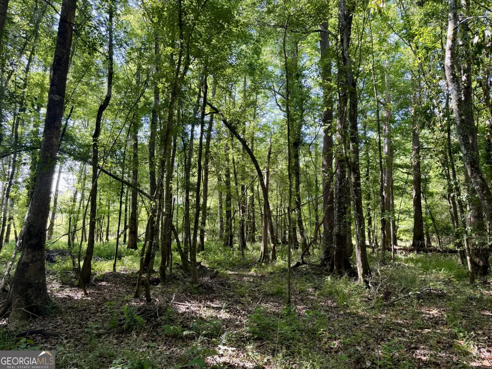 0 Folds RD Pineview, GA 31071