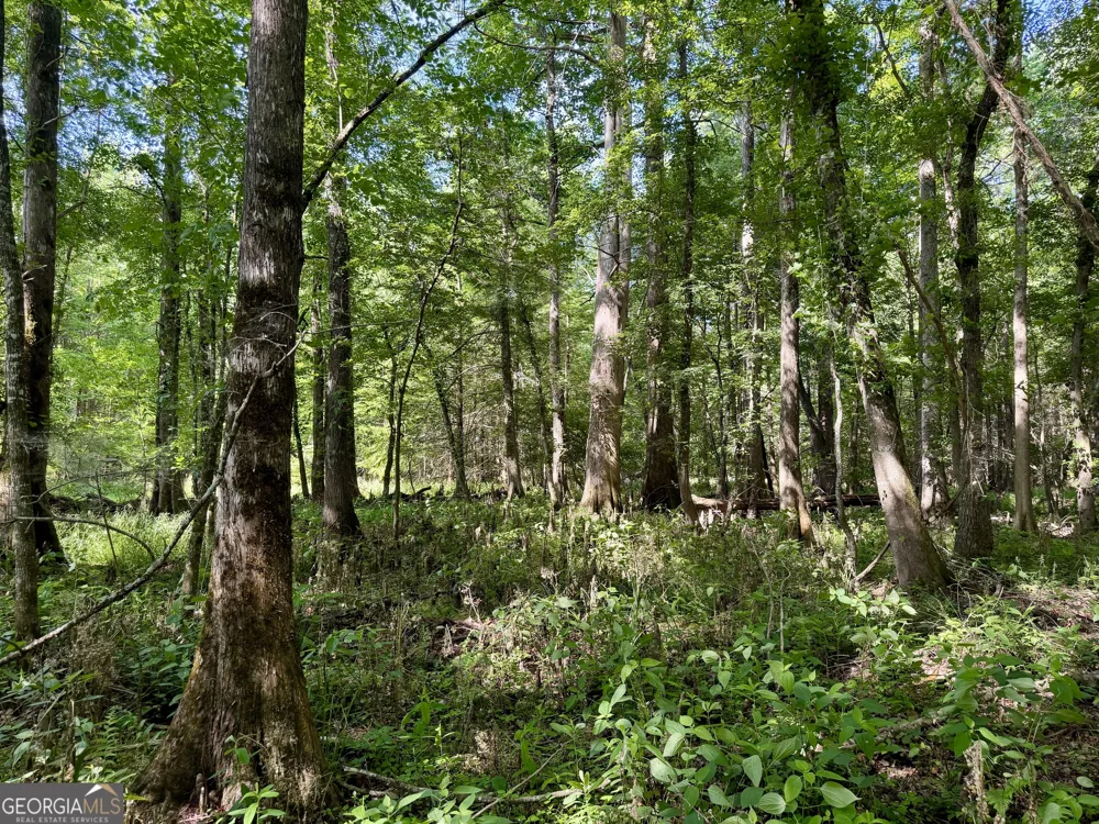 0 Folds RD Pineview, GA 31071