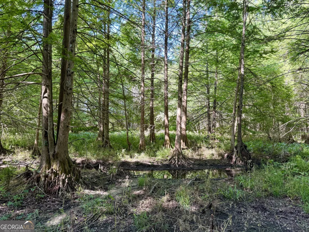 0 Folds RD Pineview, GA 31071