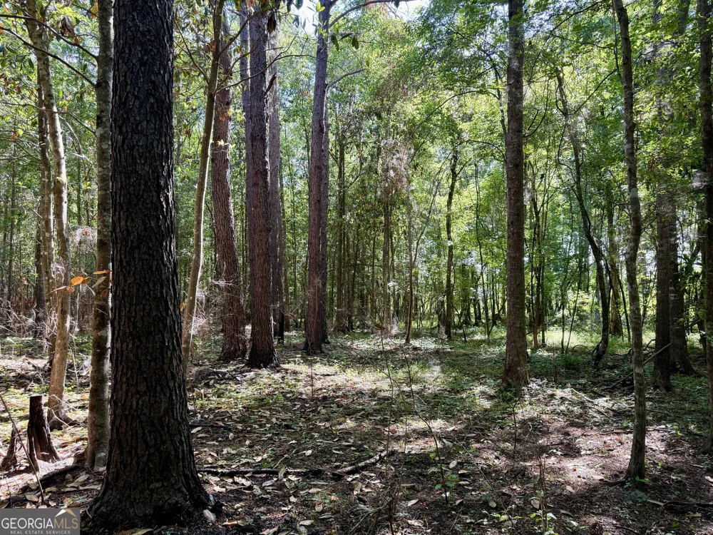 0 Folds RD Pineview, GA 31071
