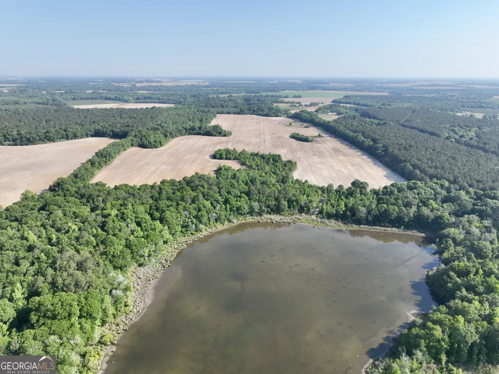 0 Folds RD Pineview, GA 31071