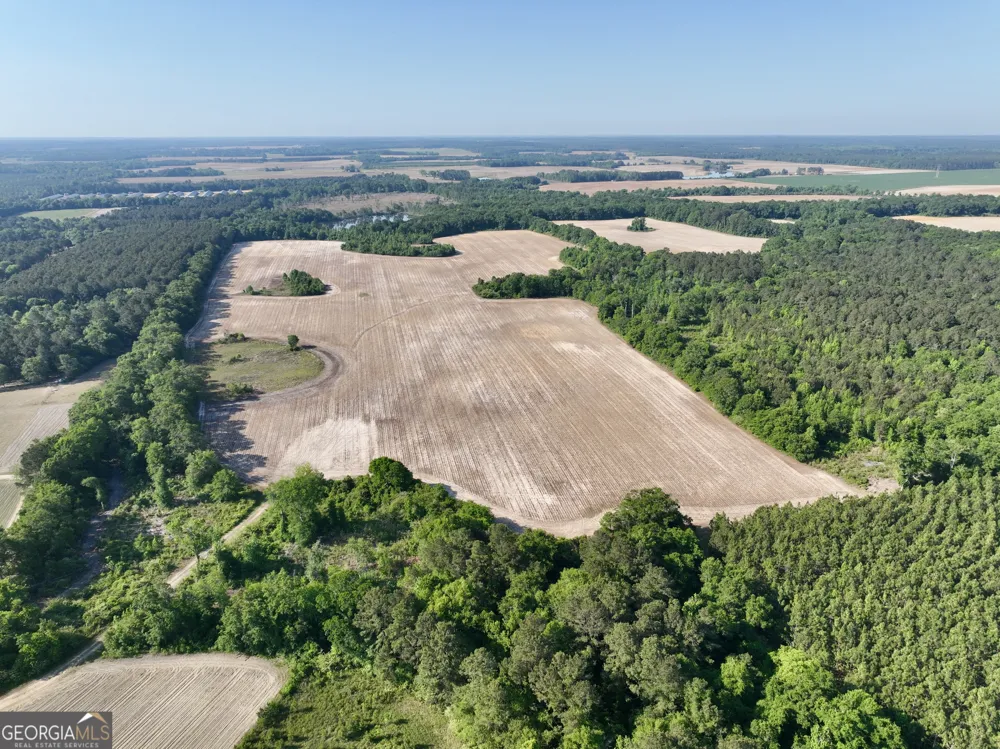 0 Folds RD Pineview, GA 31071
