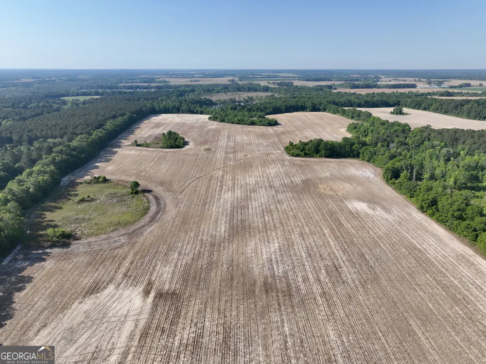 0 Folds RD Pineview, GA 31071