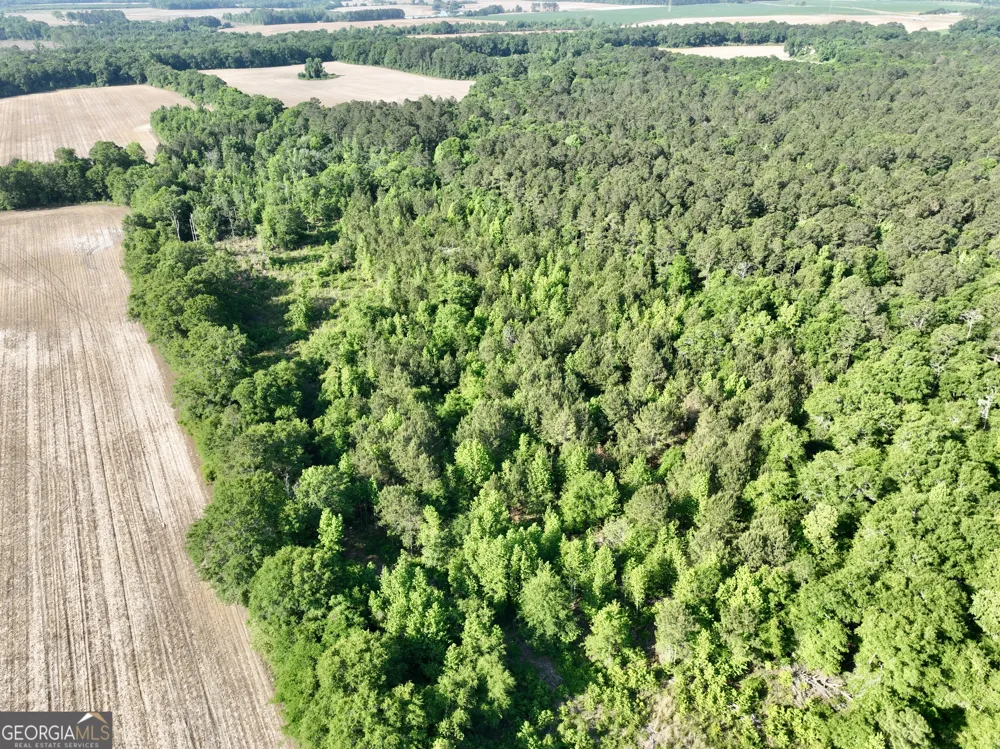 0 Folds RD Pineview, GA 31071
