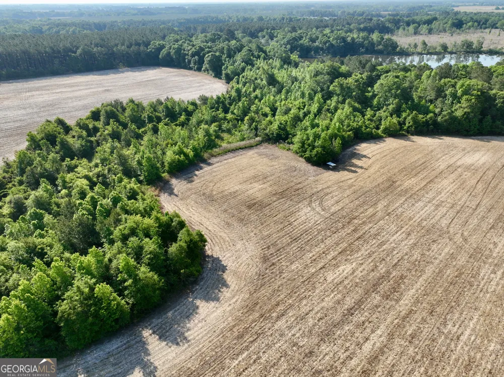0 Folds RD Pineview, GA 31071