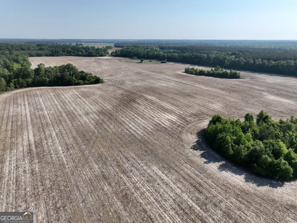 0 Folds RD Pineview, GA 31071
