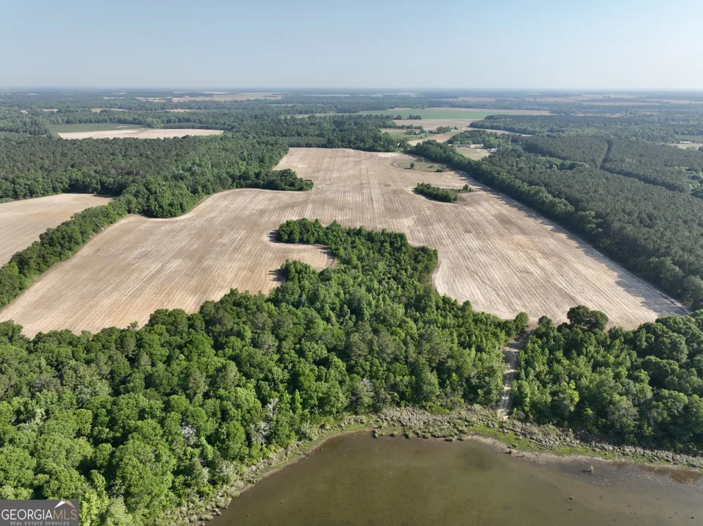 0 Folds RD Pineview, GA 31071