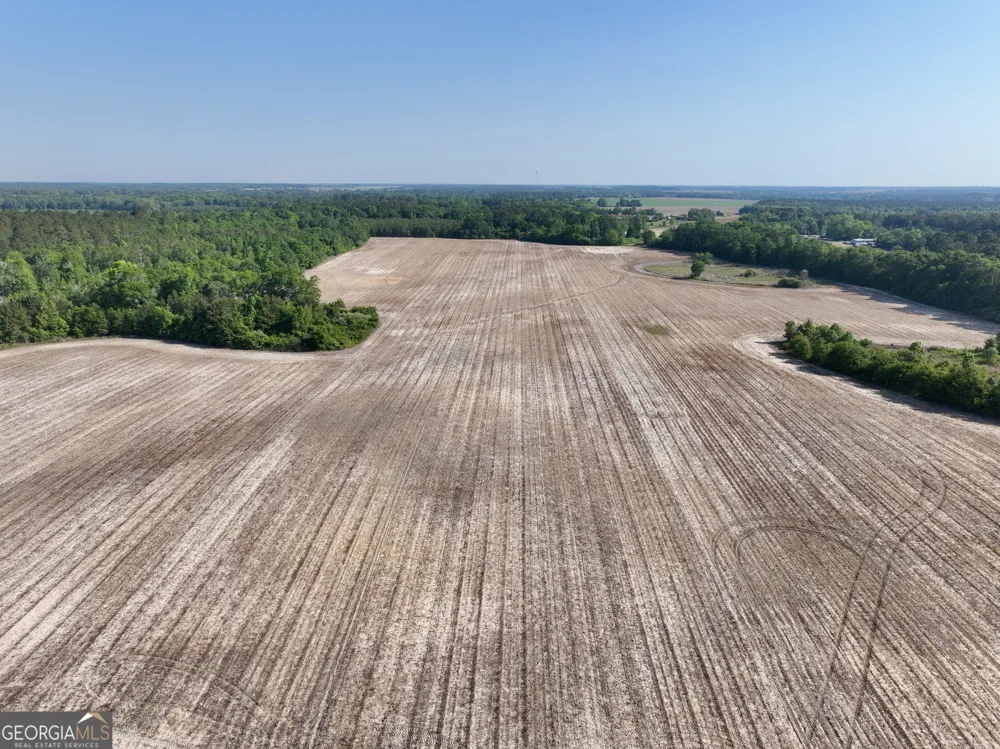 0 Folds RD Pineview, GA 31071