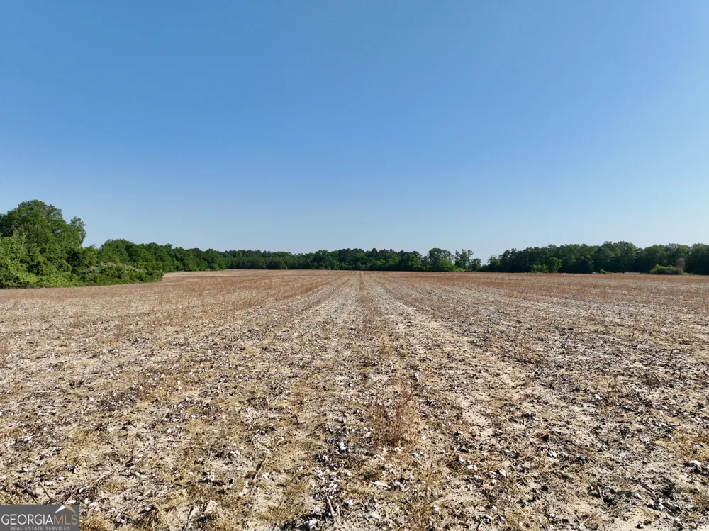 0 Folds RD Pineview, GA 31071
