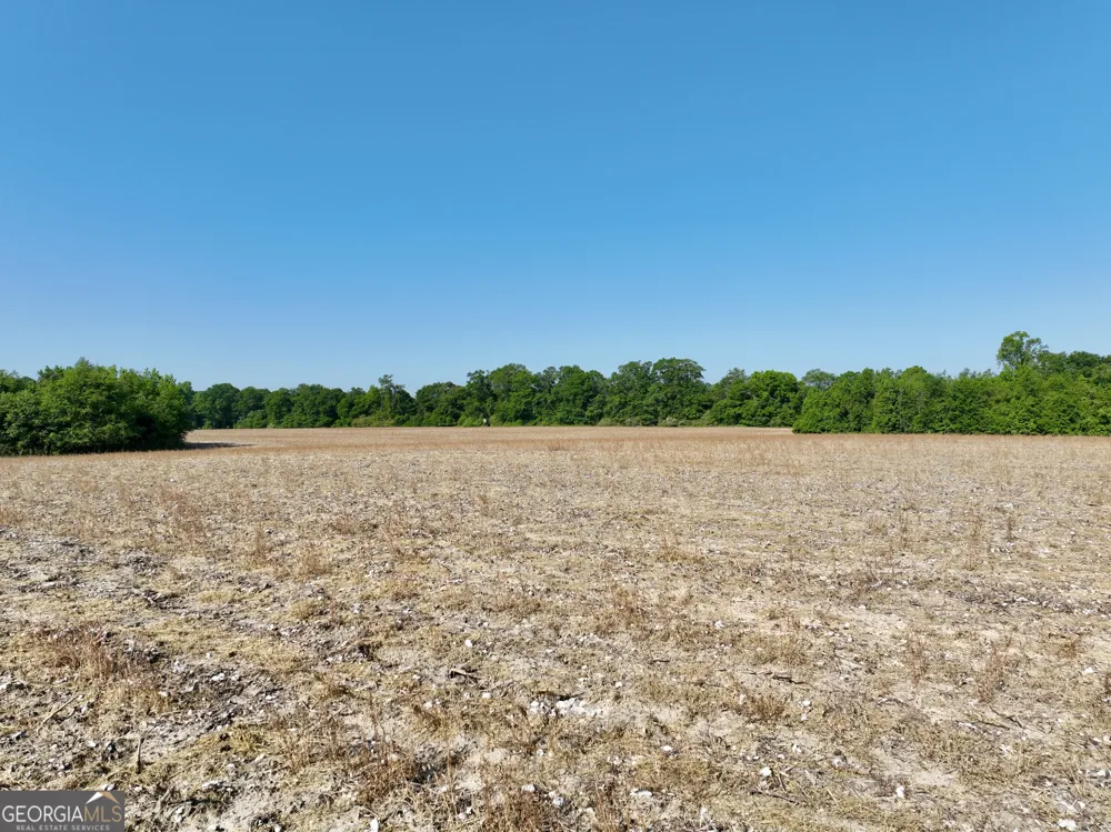 0 Folds RD Pineview, GA 31071