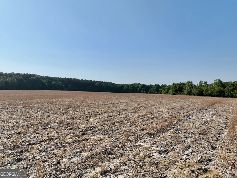 0 Folds RD Pineview, GA 31071