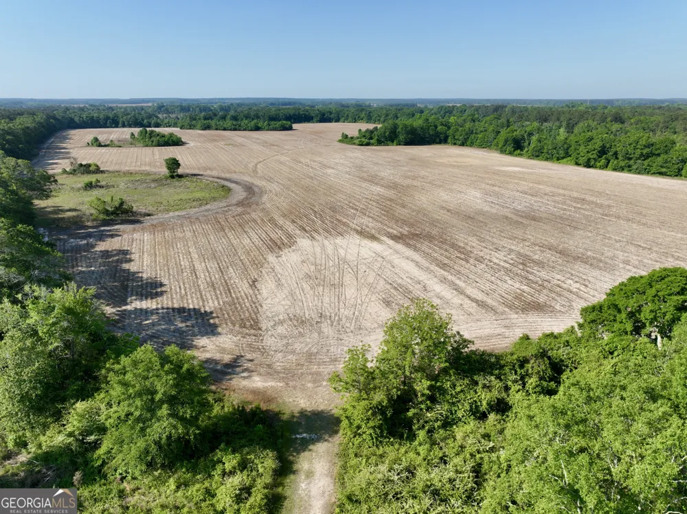 0 Folds RD Pineview, GA 31071