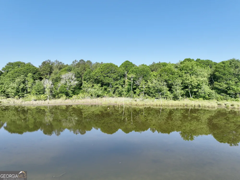0 Folds RD Pineview, GA 31071