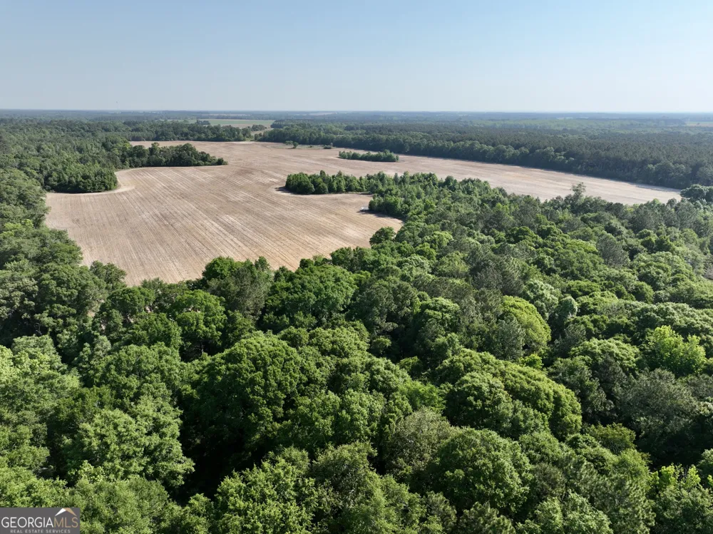 0 Folds RD Pineview, GA 31071