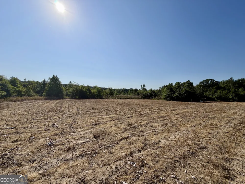0 Folds RD Pineview, GA 31071