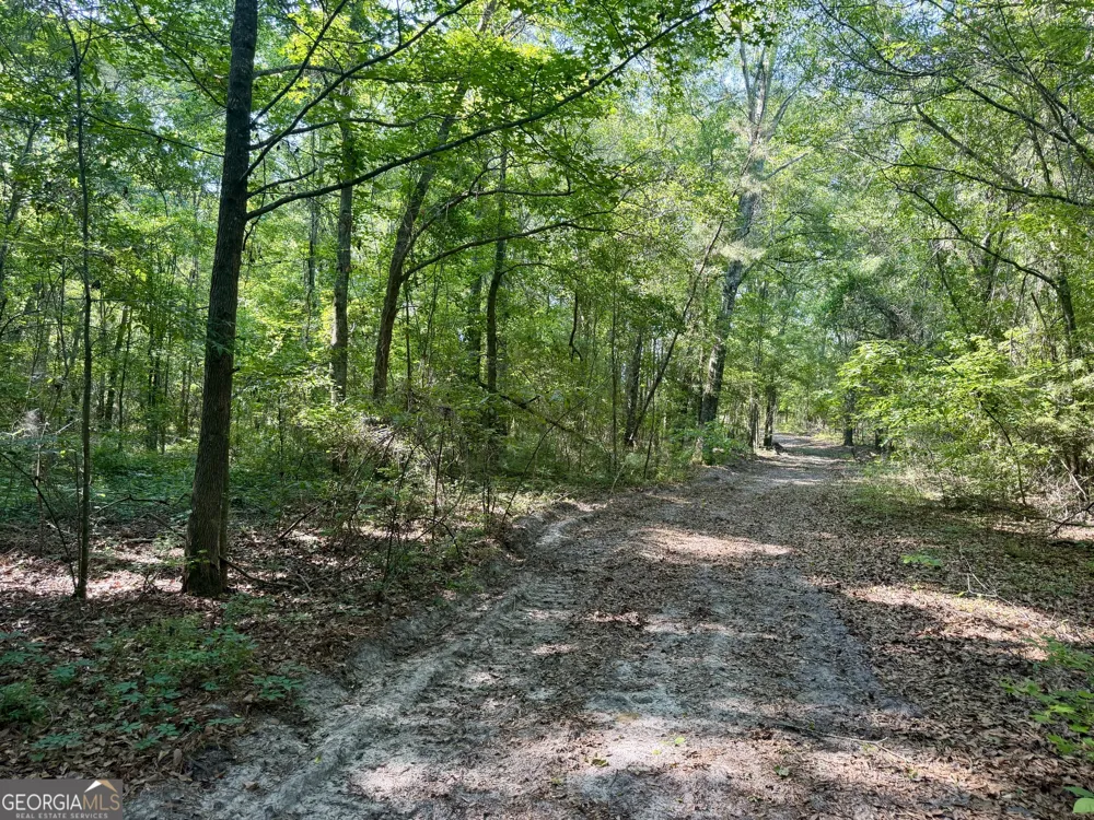 0 Folds RD Pineview, GA 31071