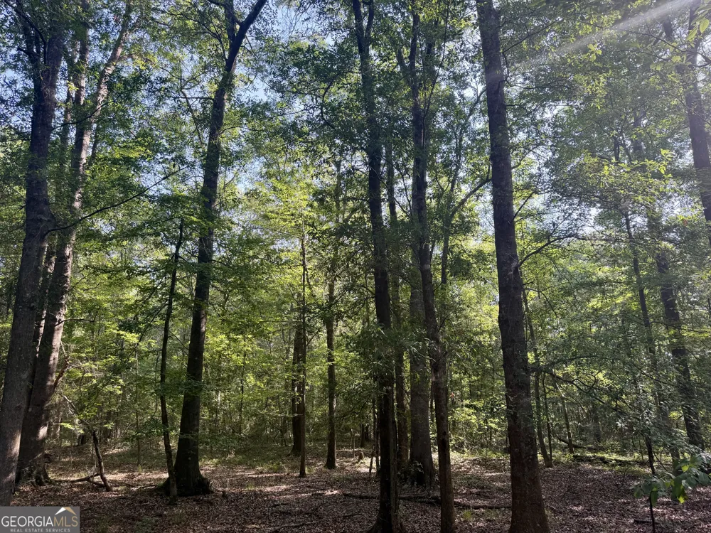 0 Folds RD Pineview, GA 31071