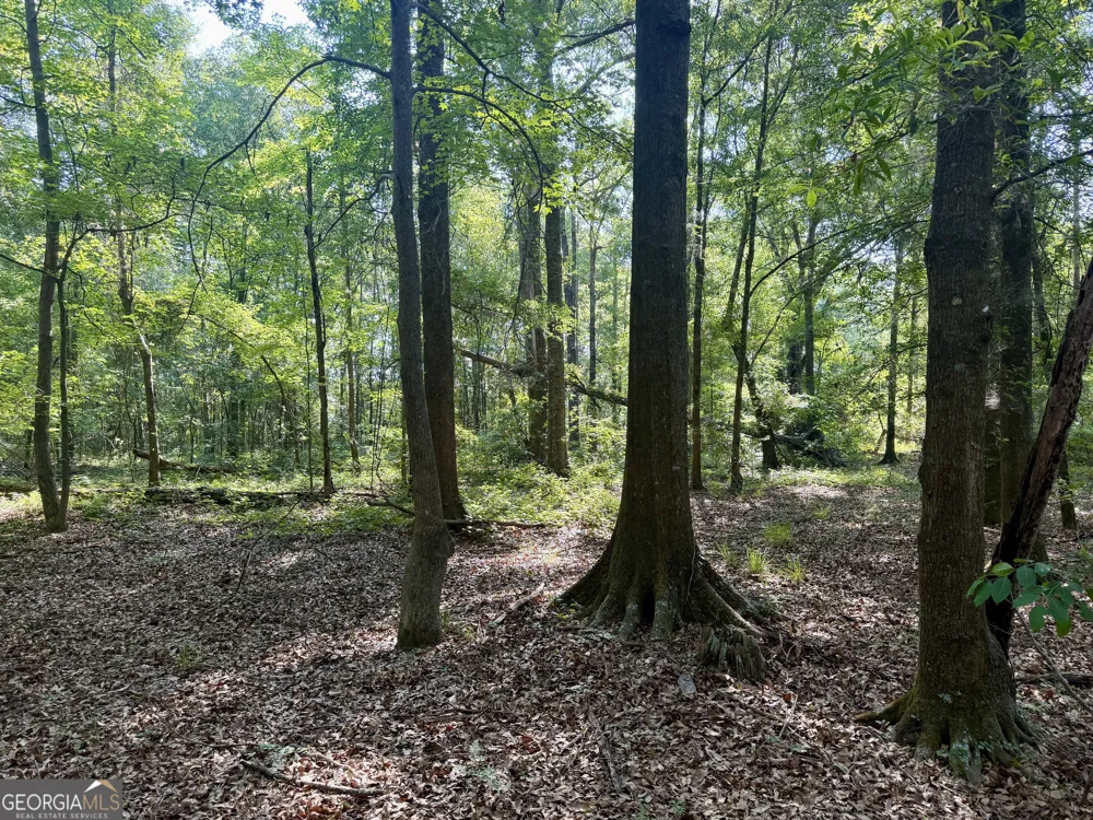 0 Folds RD Pineview, GA 31071