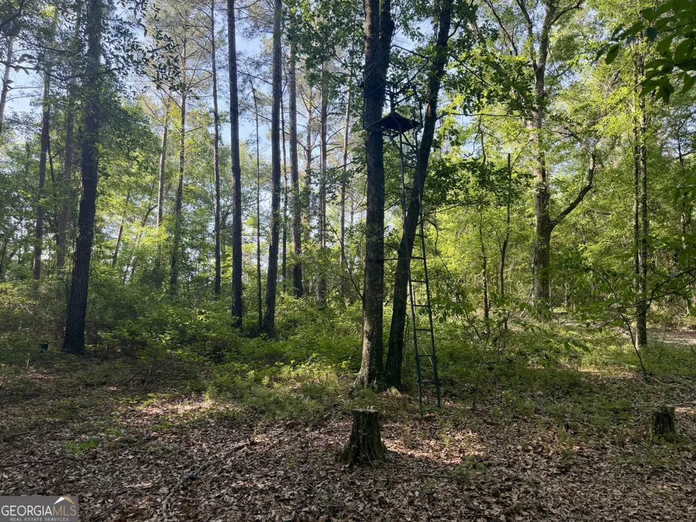 0 Folds RD Pineview, GA 31071