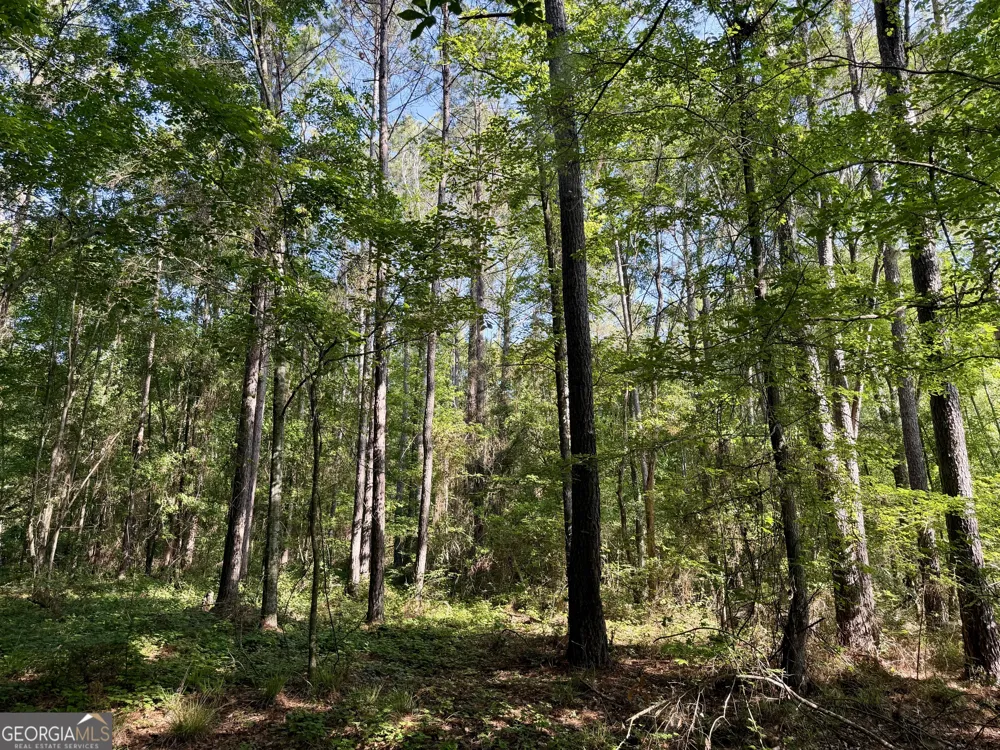 0 Folds RD Pineview, GA 31071