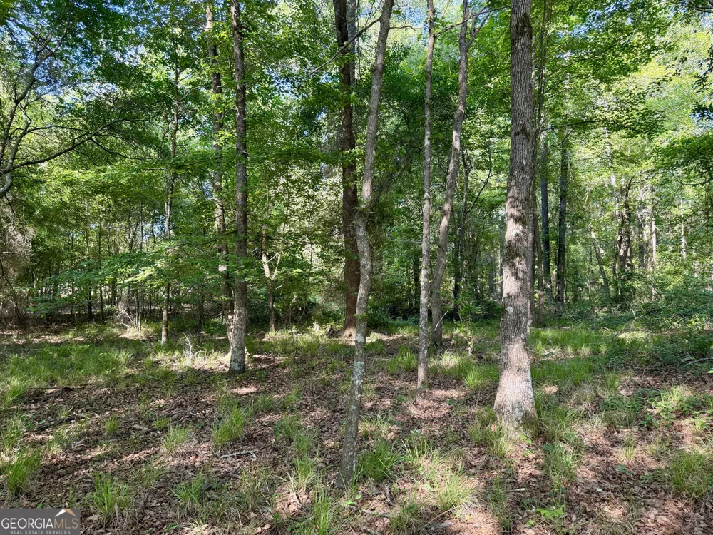 0 Folds RD Pineview, GA 31071
