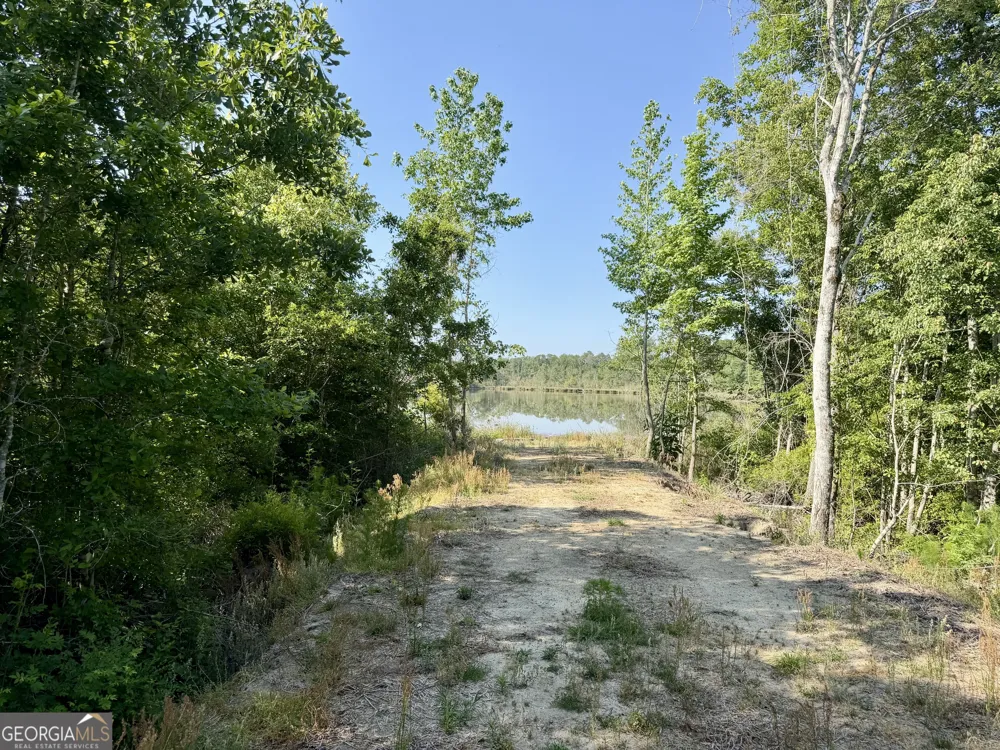 0 Folds RD Pineview, GA 31071