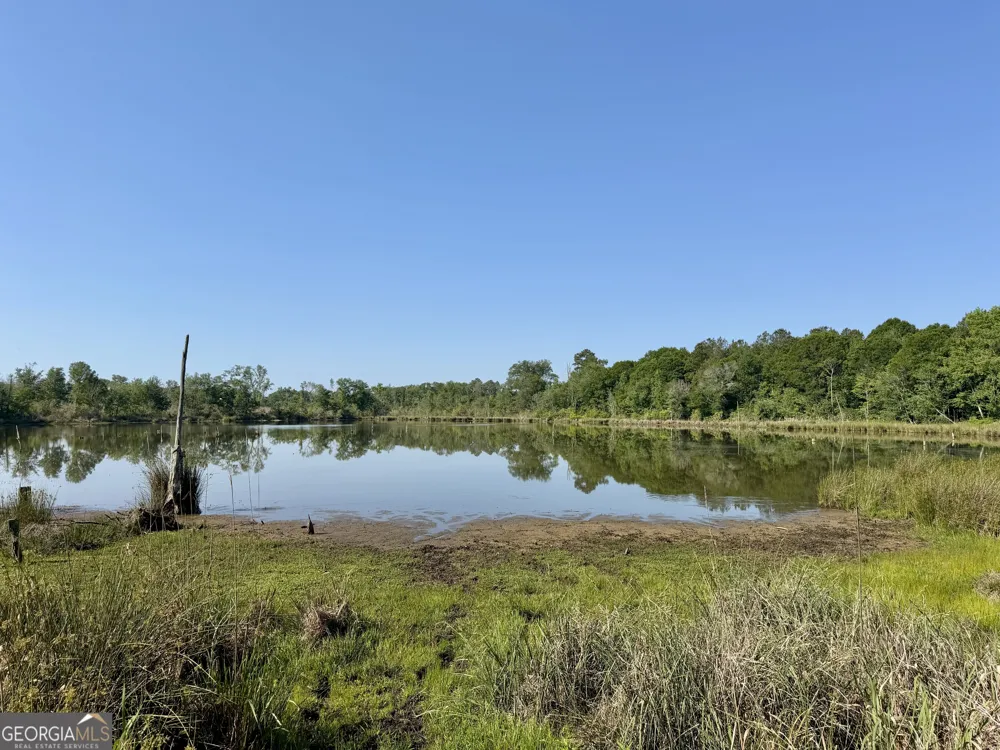 0 Folds RD Pineview, GA 31071