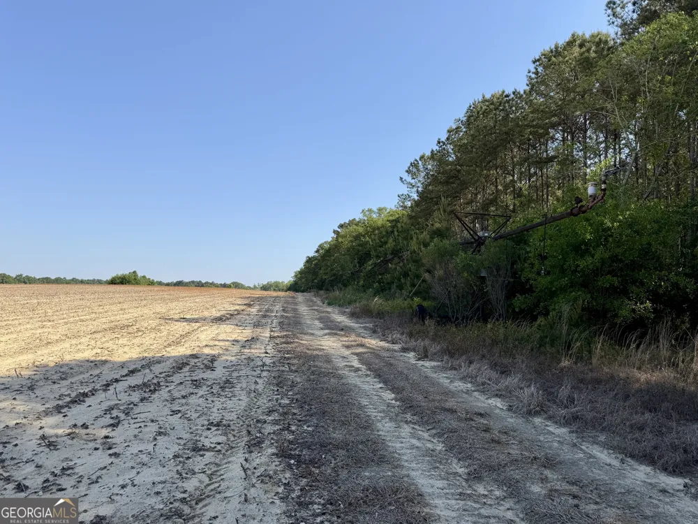 0 Folds RD Pineview, GA 31071