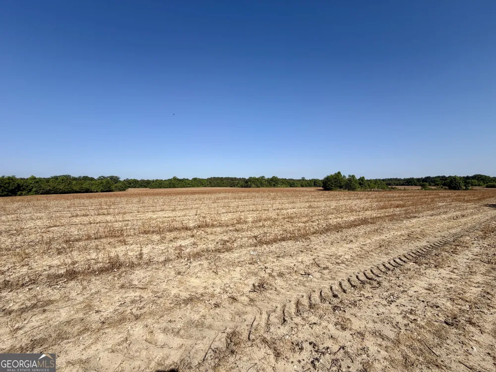 0 Folds RD Pineview, GA 31071