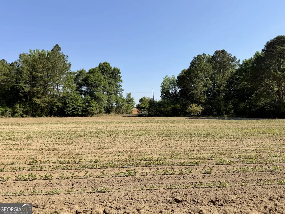 0 Folds RD Pineview, GA 31071
