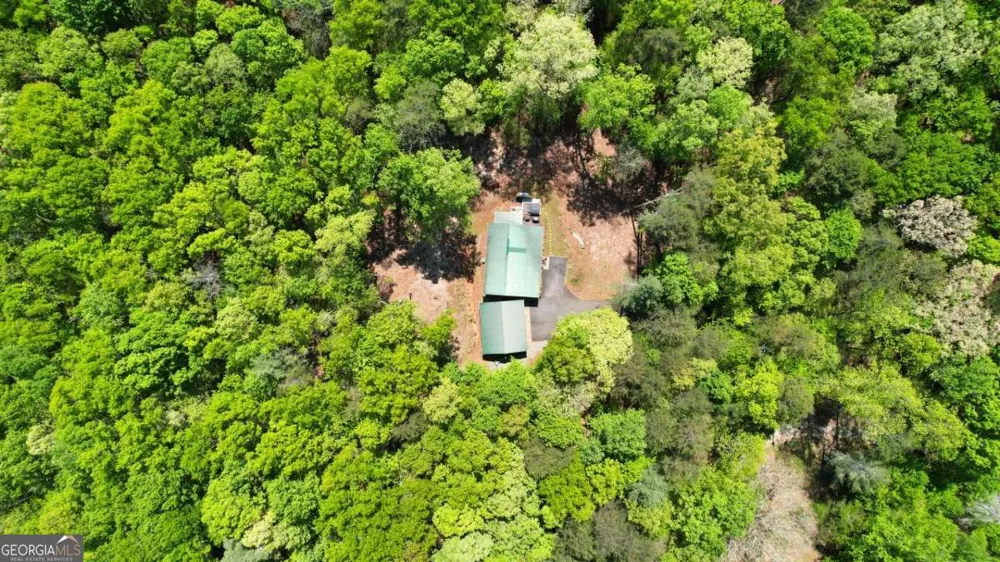 210 Shade Tree LN Mineral Bluff, GA 30559