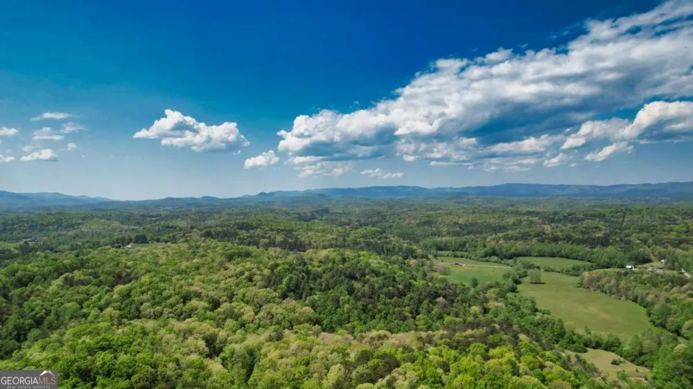 210 Shade Tree LN Mineral Bluff, GA 30559