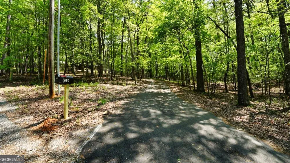 210 Shade Tree LN Mineral Bluff, GA 30559